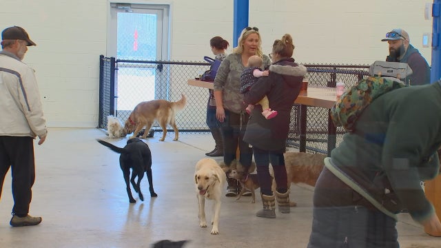 Minneapolis bar mixes barks and beers for 'unleashed' fun