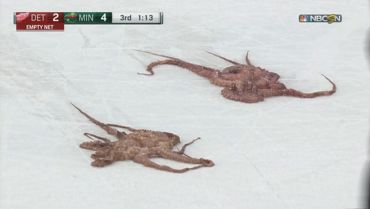 Octopuses on ice