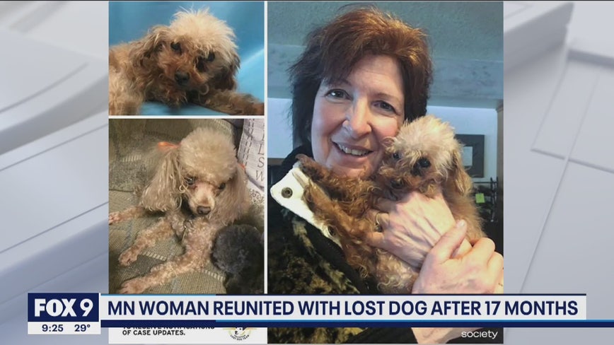 Minnesota woman reunited with missing dog after 17 months