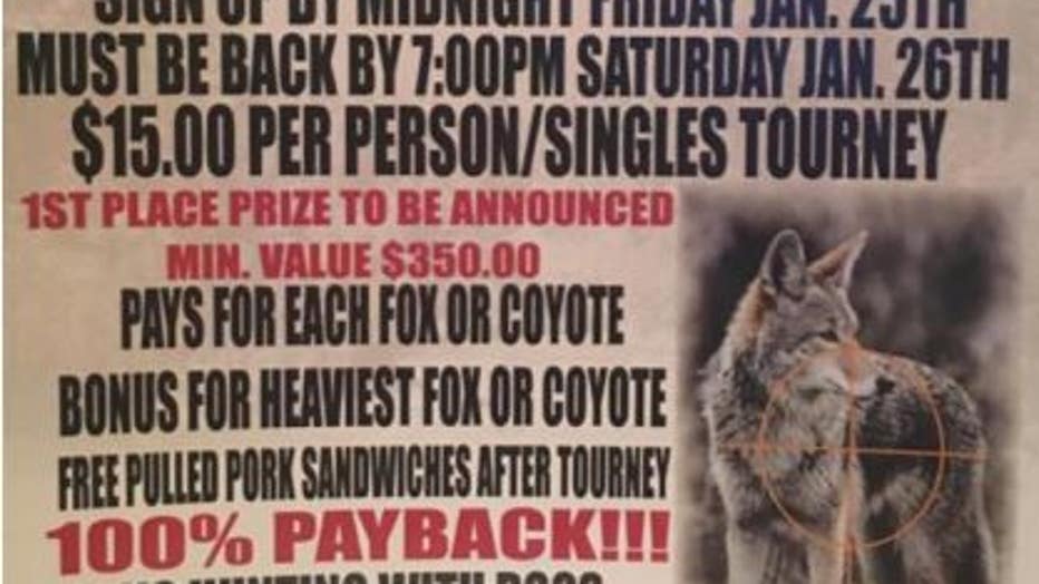 St. Paul bans wildlife killing contests in unanimous City Council vote