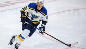 St. Louis defenseman Bouwmeester collapses on bench, Ducks-Blues postponed