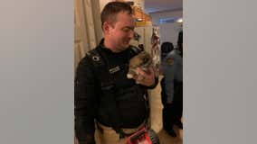 Firefighters rescue puppy trapped in ceiling of Plymouth, Minnesota home