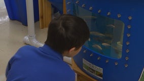 Elementary students learn about sustainable farming through aquaponics program