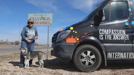 After airline policy change, California couple drives rescue dogs cross country to Minnesota shelter