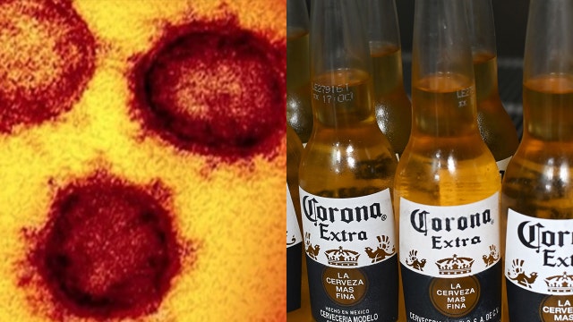 Survey: Nearly 40% of beer-drinkers won't buy Corona because of coronavirus