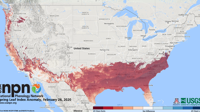 Spring is already springing in the south and east