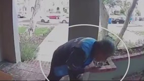 Amazon delivery driver caught on video spitting on package