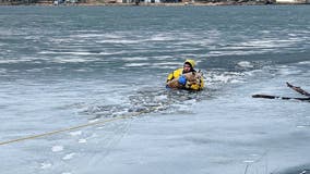 Maintenance worker rescues dog that fell through ice on New Brighton lake