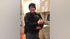 Wisconsin state troopers rescue puppy ejected from car during rollover crash