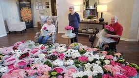 Galleria donates 4,000 flowers to elderly after Floral Experience cancelled