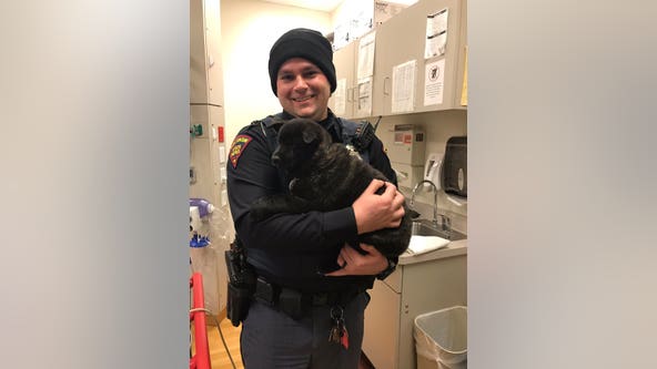 Wisconsin state troopers rescue puppy ejected from car during rollover crash