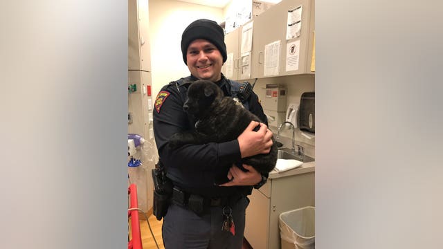 Wisconsin state troopers rescue puppy ejected from car during rollover crash