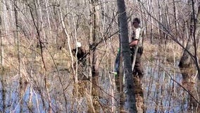 Deputy rescues injured eagle in Chisago County, Minnesota