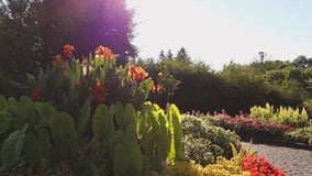 Minnesota Landscape Arboretum to reopen to cars only Friday