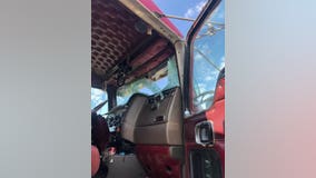 Turkey shatters semi's windshield on I-35E, walks away 'like nothing happened'