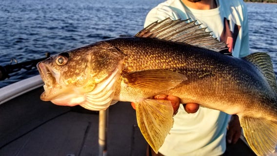 Minnesota Governor's Fishing Opener postponed to 2021