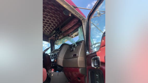 Turkey shatters semi's windshield on I-35E, walks away 'like nothing happened'