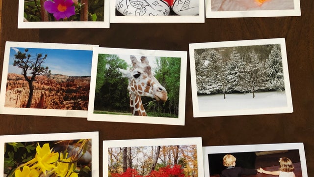Photographer with autism sells greeting cards to raise money for pulmonary fibrosis research