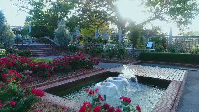 Minnesota Landscape Arboretum offers free tickets to healthcare workers