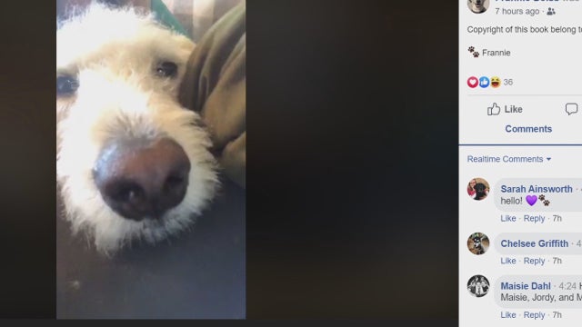 Wisconsin school therapy dog connects with students through Facebook amid closures