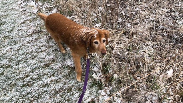 Quick bursts of snow push through Twin Cities metro Thursday morning