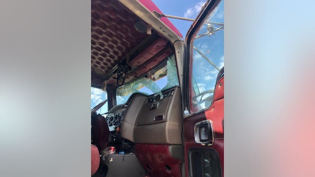 Turkey shatters semi's windshield on I-35E, walks away 'like nothing happened'