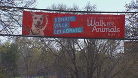 Animal Humane Society's 'Walk for Animals' will go on but from a distance