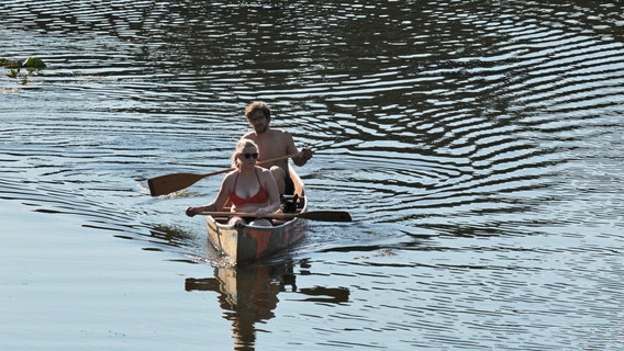 Minneapolis Park Board warns of harmful algae bloom on Cedar Lake