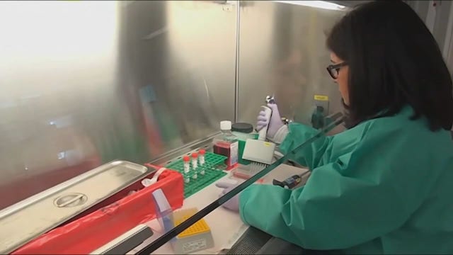 What is coronavirus contact tracing?