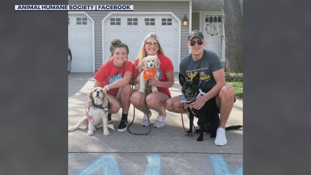 Virtual walk raises more than $600K for Animal Humane Society