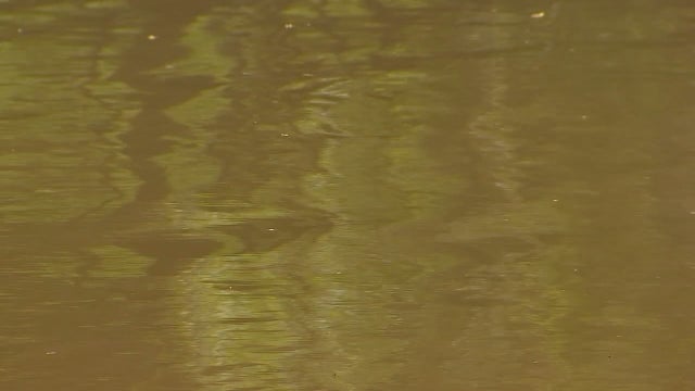 MPCA: Groundwater near 59 closed Minnesota landfills contaminated