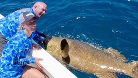 16-year-old Minnesota girl reels in massive grouper in Gulf of Mexico