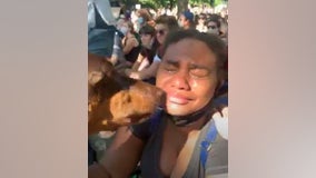 Dog comforts grieving protesters at demonstration over George Floyd's death