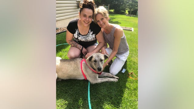 Otsego family elated by dog's return after going missing for nearly 6 months
