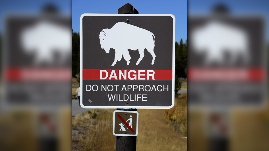 Bison sign at Yellowstone