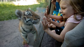 Minnesota Zoo reopening to public on July 24