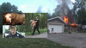 ‘A Lion King moment:’ Bodycam captured Caledonia officer rescuing dog from house engulfed in flames