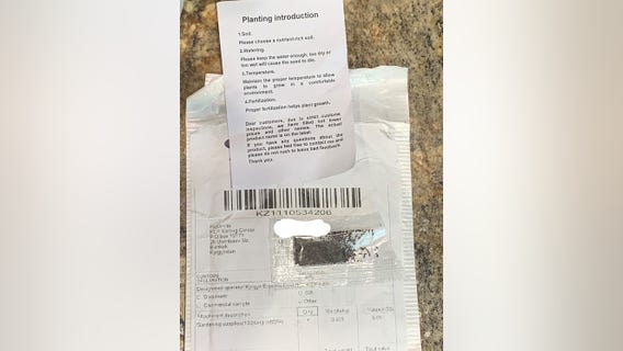 Mystery seeds identified as non-invasive plants, but Minnesota leaders warn residents not to plant them