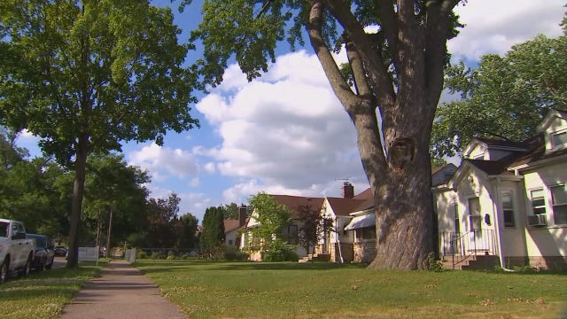 What can we do about the gap between white and Black homeownership rates in Minneapolis?