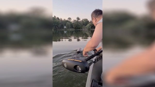 Wisconsin family rescues bear with bin stuck on its head