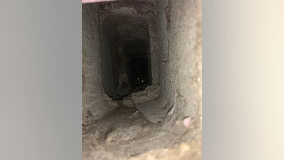 Police, fire rescue cat that fell into cinder block in Bloomington, Minnesota home