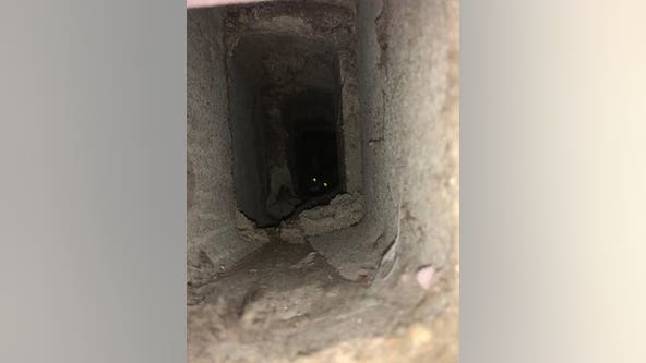 Police, fire rescue cat that fell into cinder block in Bloomington, Minnesota home