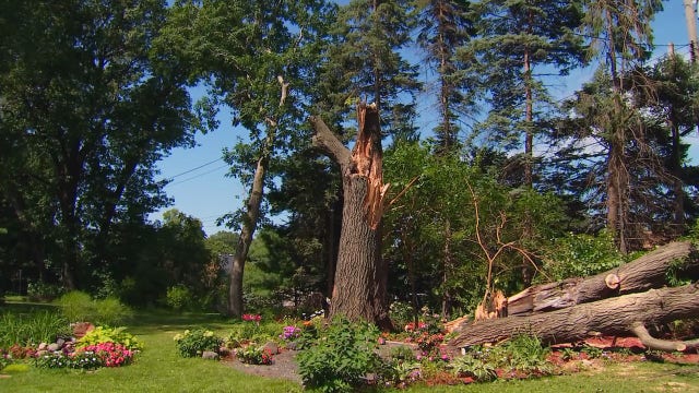 Little Canada couple has makeshift backyard wedding setup destroyed by storms