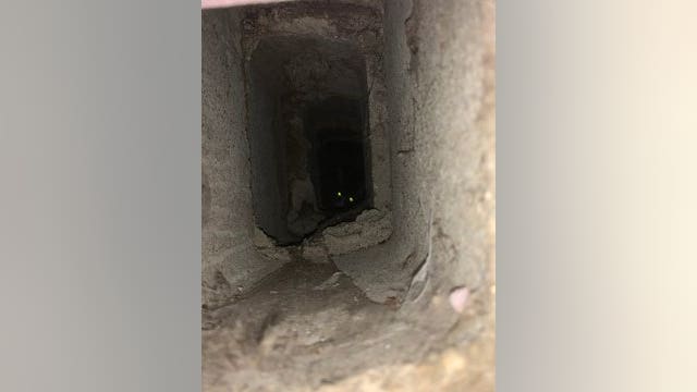 Police, fire rescue cat that fell into cinder block in Bloomington, Minnesota home