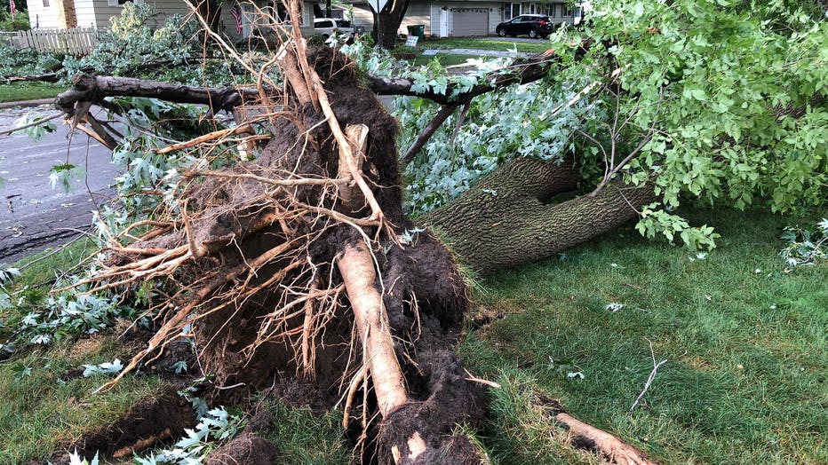 Bloomington storm damage