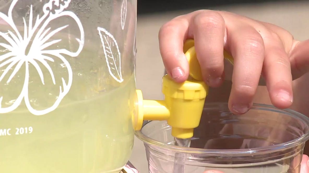 Vadnais Heights man accused of showing gun to kids at lemonade stand