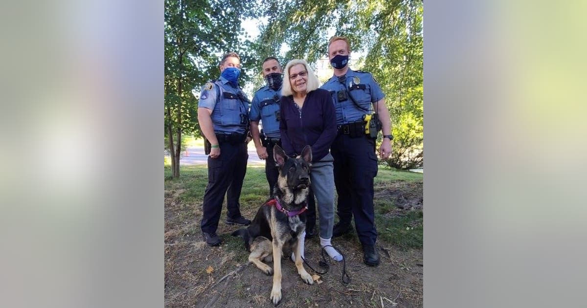 Earnest, missing therapy dog in training, found safe in St. Paul | FOX ...