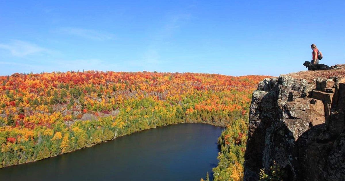 Expect muted fall colors this year due to drought | FOX 9 Minneapolis ...