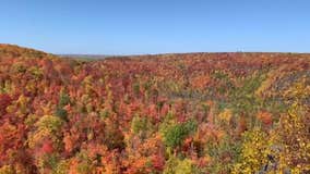 Five fall color drives to take in Minnesota this fall