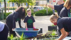 Lyn-Lake beautification project aims to restore hope to businesses after riots